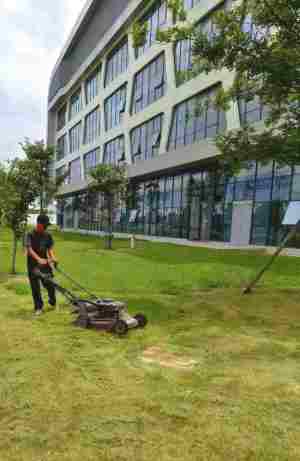 企事業(yè)單位綠化養(yǎng)護(hù)